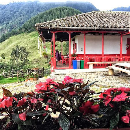 Hostal La Laguna Villamaría エクステリア 写真